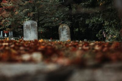 Crématorium de Rennes : une clairière pour les cérémonies et la dispersion des cendres
