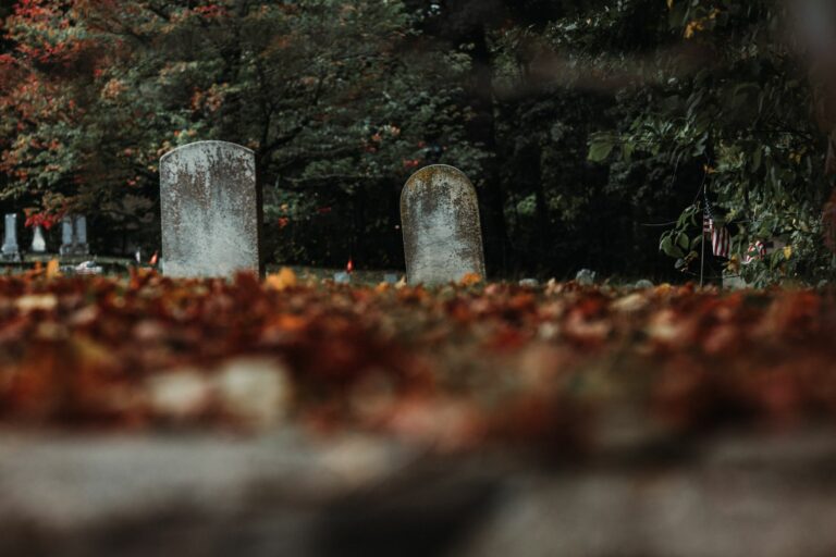 Crématorium de Rennes : une clairière pour les cérémonies et la dispersion des cendres