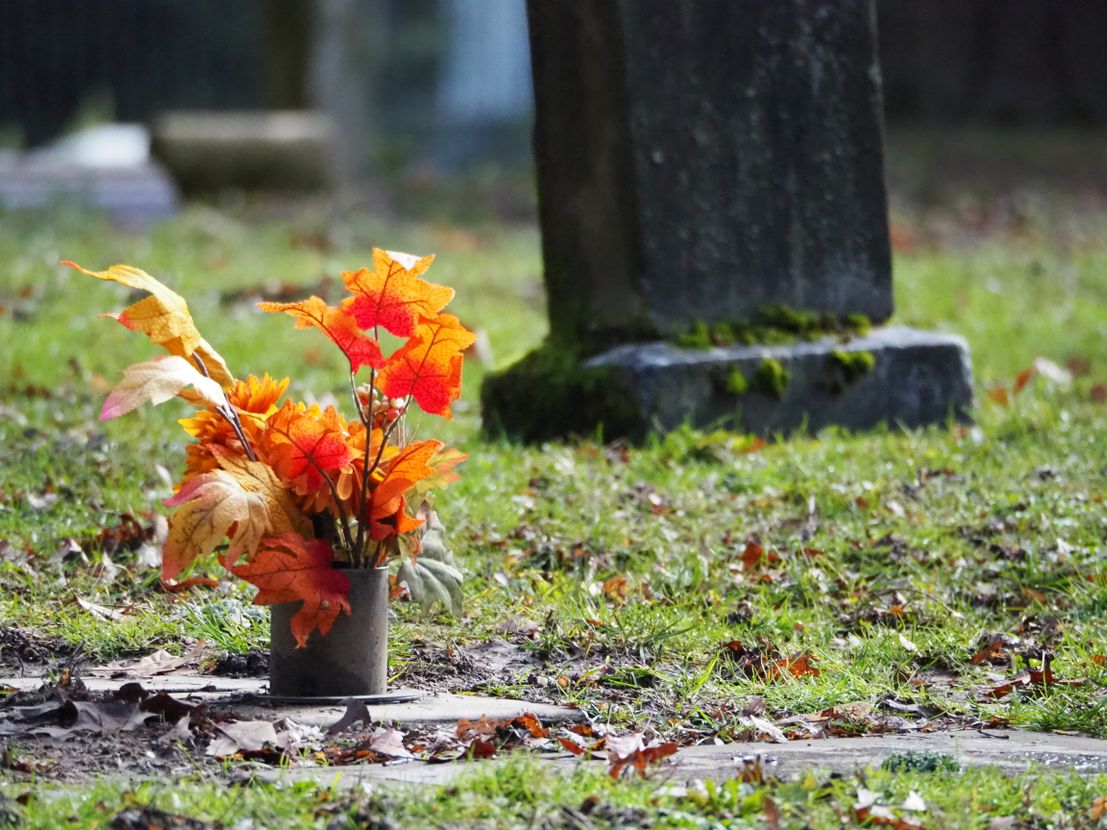 Toussaint à Toulouse : marathon, navette déviée, ce qu'il faut savoir pour aller au cimetière le 1er novembre